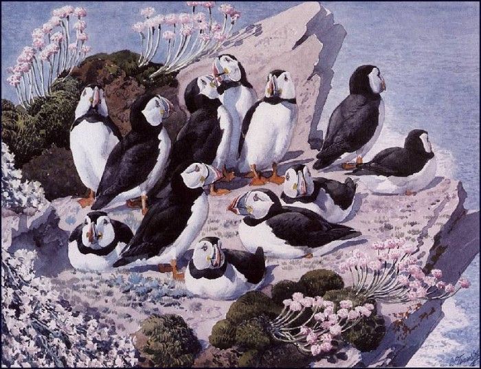 43617. Tunnicliffe, 