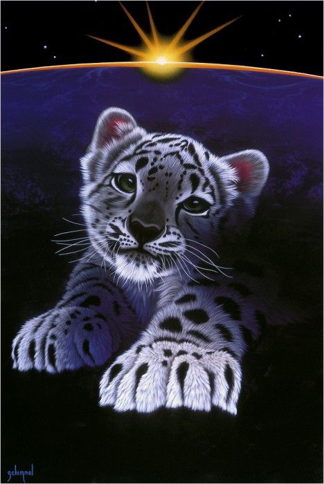 Please. Schimmel, ������