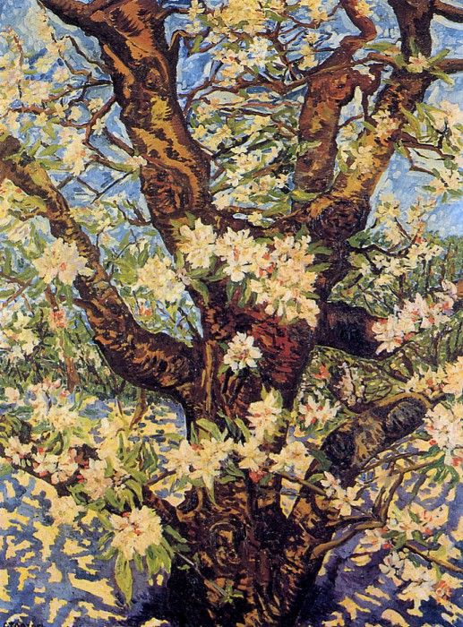Toorop Charley Tree Sun. Toorop, 