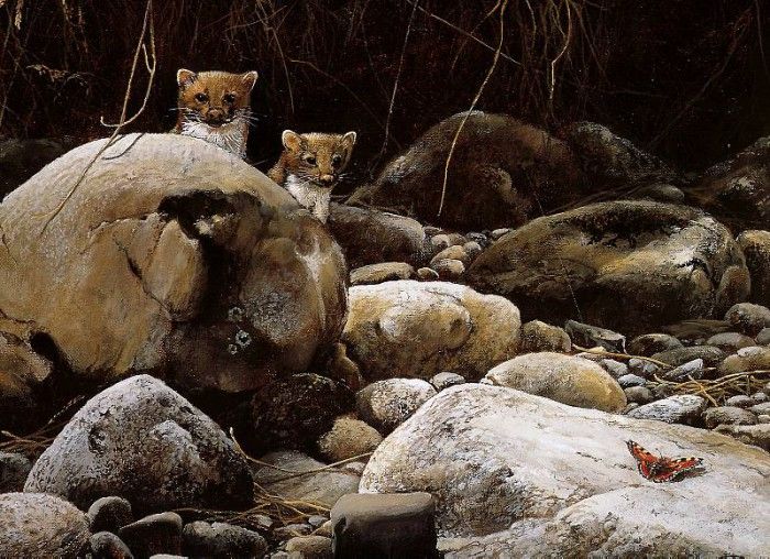 Verstappen Pieter Nature 64 Sun. Verstappen, �����