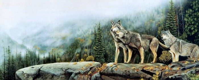 Jules Bouchard - Canadian Timber Wolf, De. , 