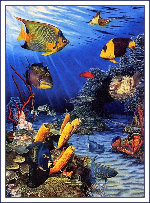 bs-na- Ben Saturen- Caribbean Reef Fish. , 