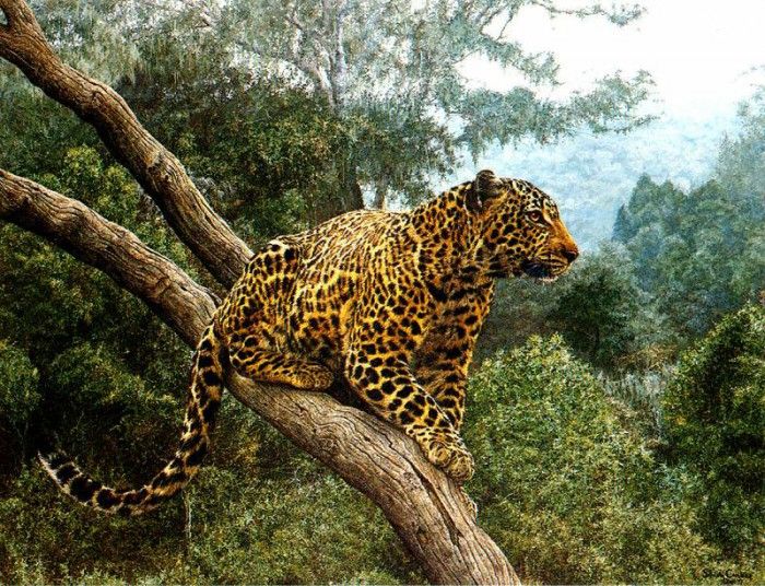 Ae 27 Solitary Hunter Simon Combes sqs. , 