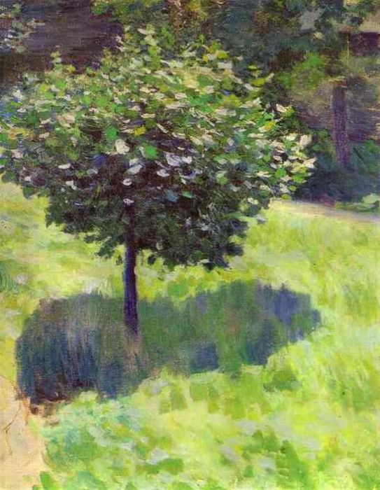 07117. -,  (1870-1905)