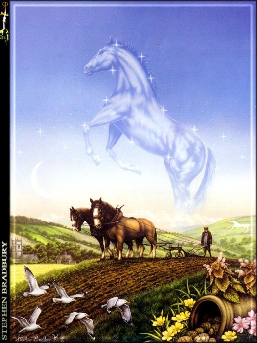 p@sdc sbr084 A Plough Horses Dream 1991. , 