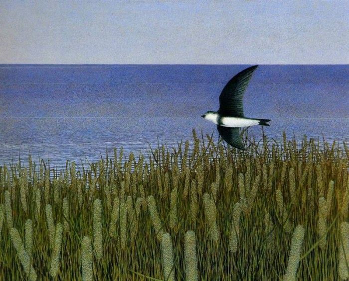 Alex Colville - One Swallow, De. , 