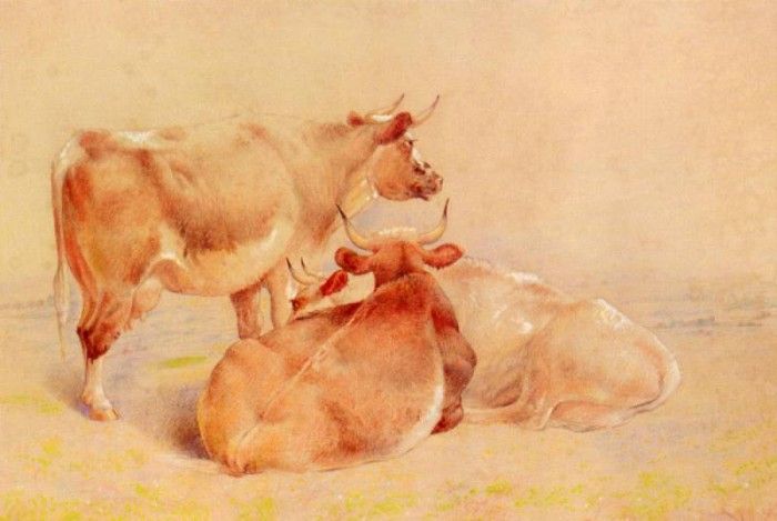 Huggins William Cattle Resting(2). ,  