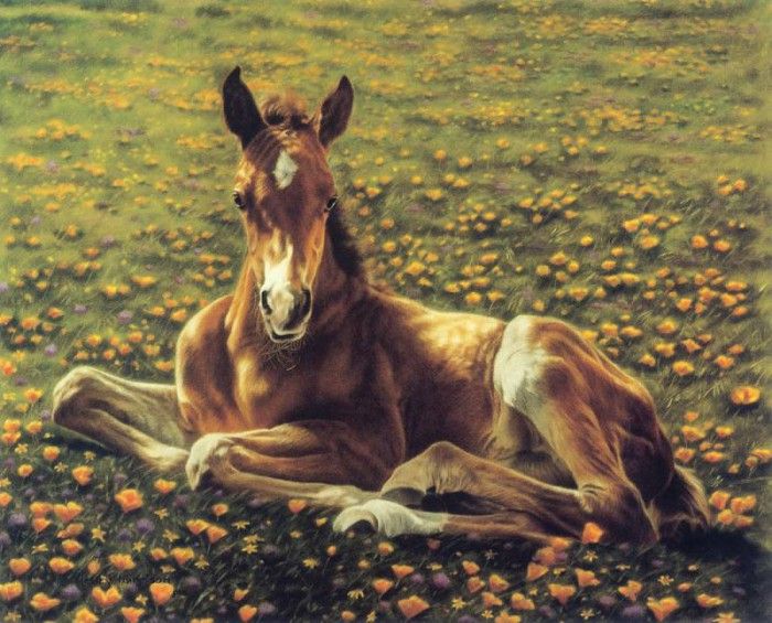 kb Harrison Flower Child. ��������, �����