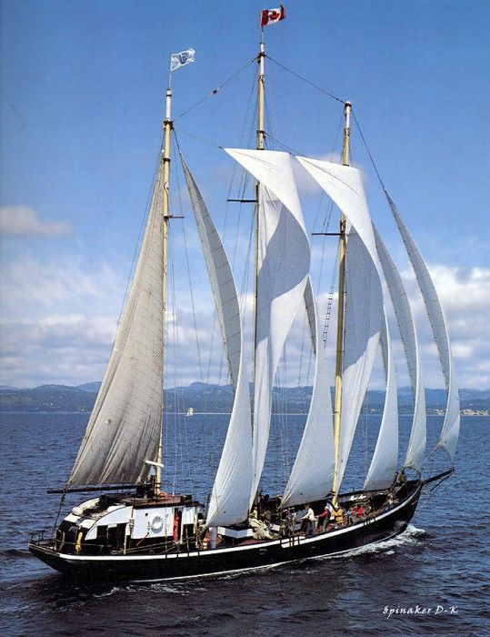 dk tall ships robertson ii staysail schooner lyr 1940. 