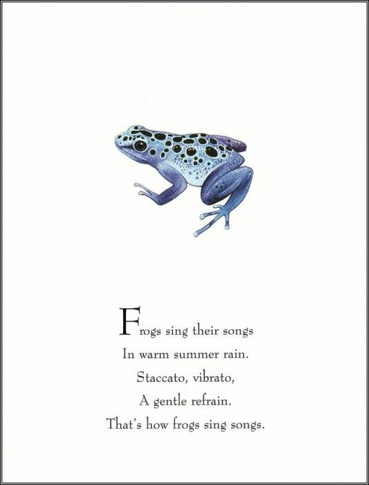pa TonyOliver FrogsSingSongs 03a. , 
