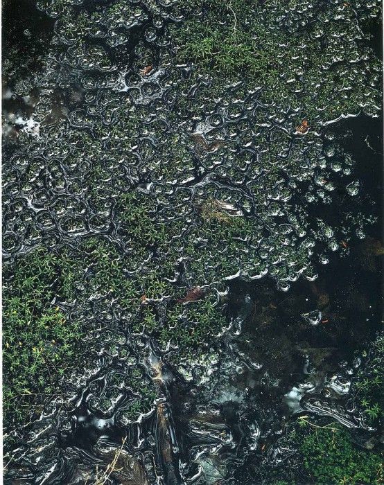 art 713. ������, �����