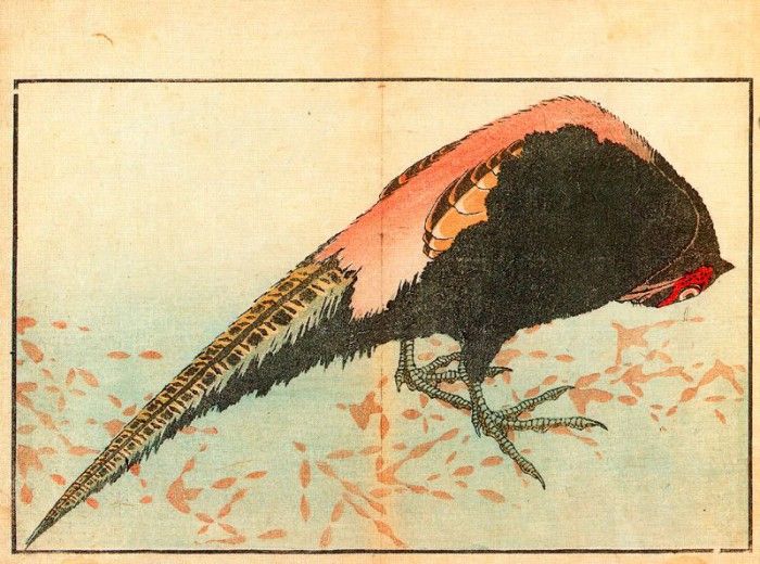 pic09577. �������