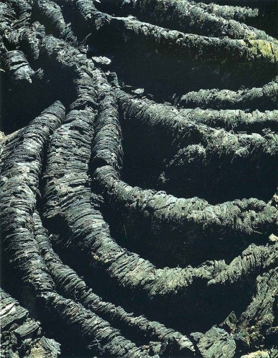 art 717. , 