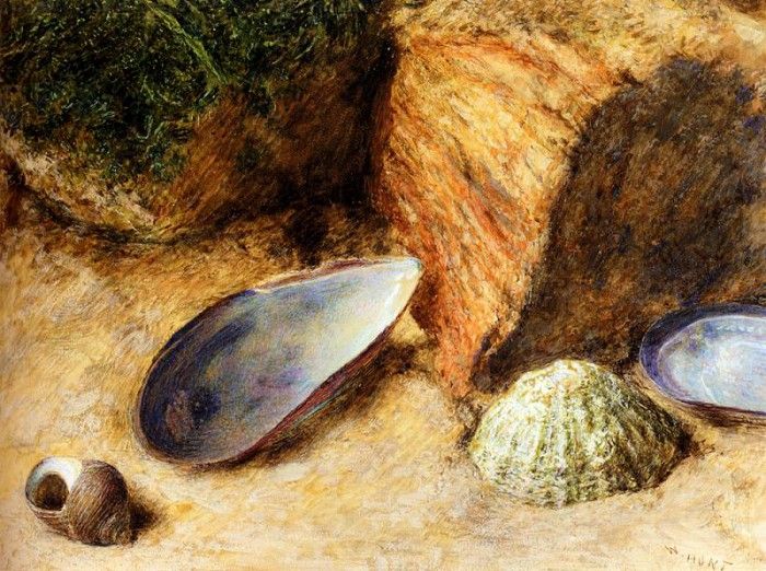 Hunt William Henry Still Life With Sea Shells On A Mossy Bank. ,  