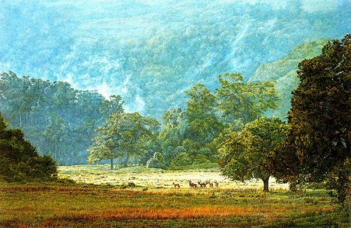 Ae 41 Ngurman Mountain Glade Simon Combes sqs. , 