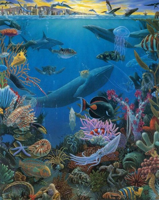 kb Bragg CL Waters Edge. �����, ������ ����