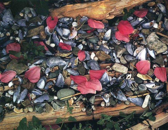 art 726. ������, �����