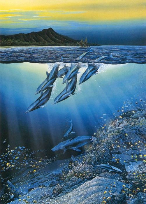 kb Nelson RL Early Waikiki. �������, ������ ���