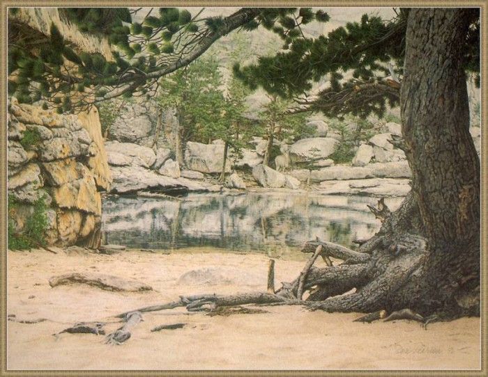cr DonPearson-02-GemLake. , 