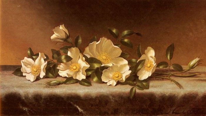 Heade Martin Johnson Cherokee Roses On A Light Gray Cloth. ,  