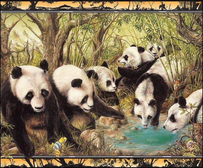 lrsBaseGraeme Waterhole07Pandas. ����, ����