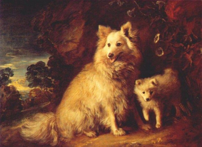 gainsborough pomeranian bitch and puppy c1777. , 