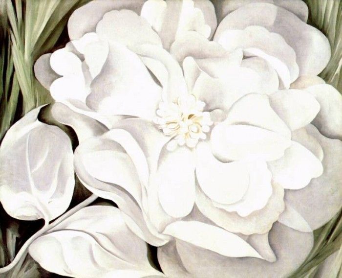 okeeffe white calico flower 1931. OKeeeffe, 