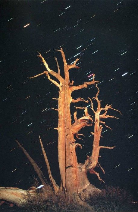 Funny 202. ����� ������ - ���� �����