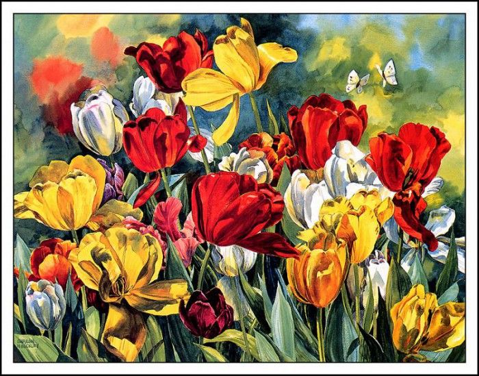 bs-flo- Sharon Hinckley- Dancing Tulips. , 