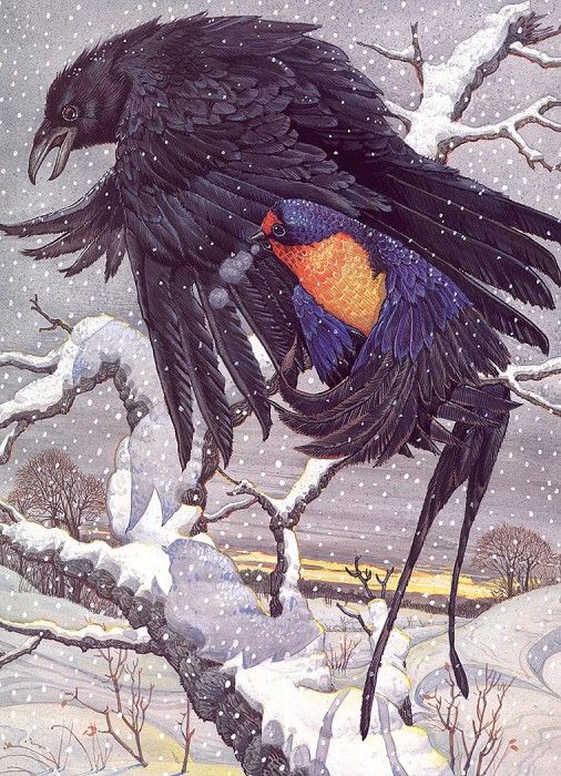 lrsDailyDonSwallow&theCrow.  