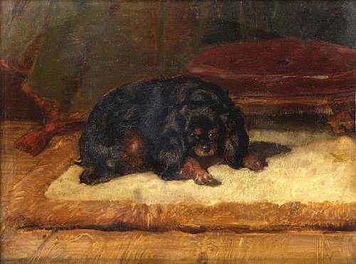 King Charles Spaniel. , 