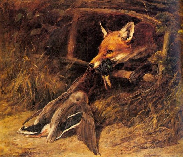 Hardy Heywood Returning To The Foxs Lair. , 