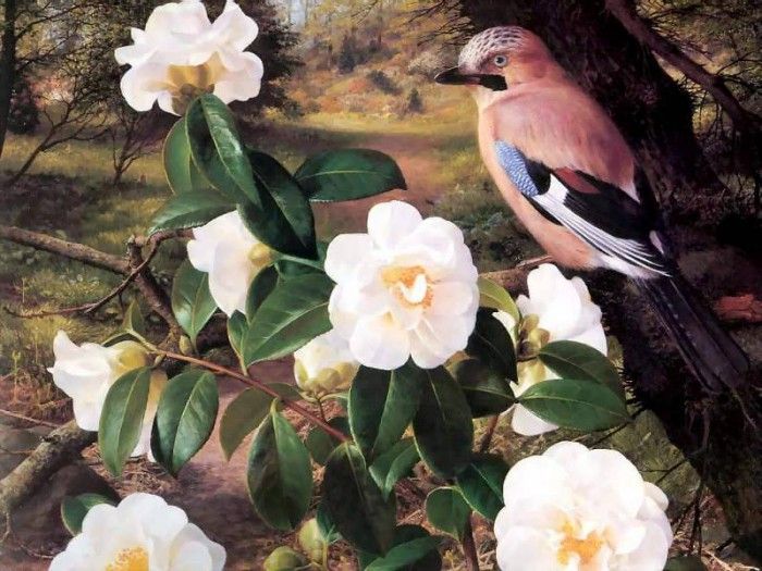 an artists garden csg007. , 