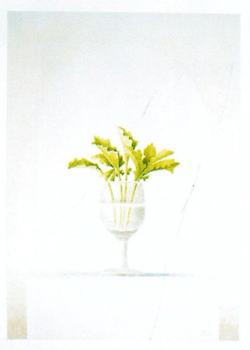 04427. �����, �������