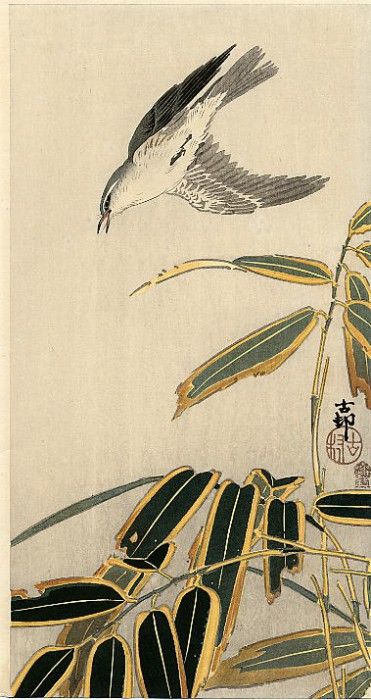 pic09402. �����