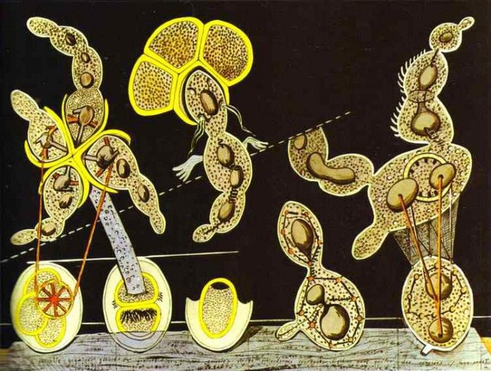 The Gramineous Bicycle Garnished with Bells the Dappled Fire Damps and the Echinoderms Bending th. , 