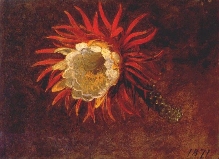 heade study of a yellow flower 1871. ,  