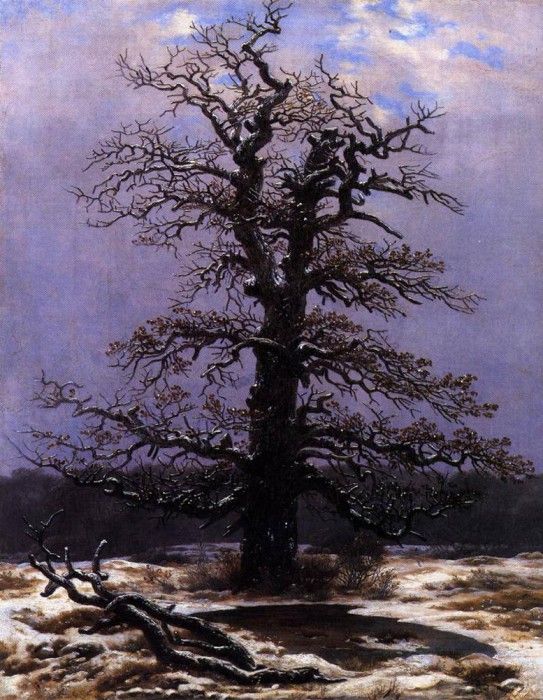 FRIEDRICH Caspar David Oak In The Snow. ,  