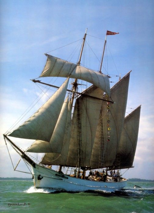 dk tall ships esther lohse topsail schooner lyr 1920. 