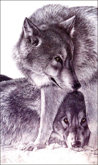 bs-na- Germana Conca- Unknown Title-02. , 