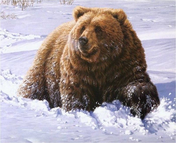 JohnSeerey-Lester HeavyGoing Grizzly ec. Seerey- 