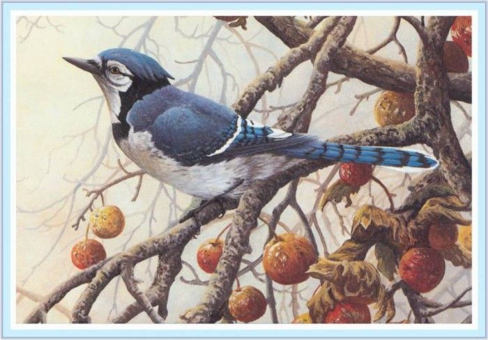 GirardPierre QuebecWildlifeConservationStamp2001-We. , 