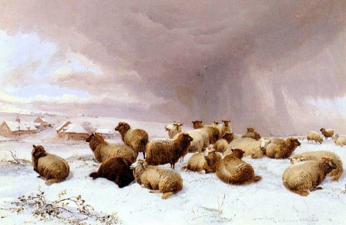 Cooper Thomas Sidney Sheep In Winter.   