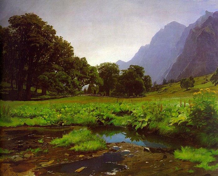 koller1. 