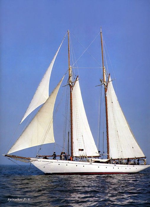 dk tall ships puritan schooner lyr 1926. 