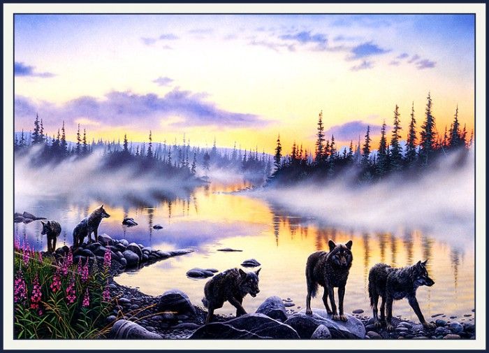 bs-na- Hans Christoph Kappel- Alaskan Morning- Wolves. , Hans Christoph