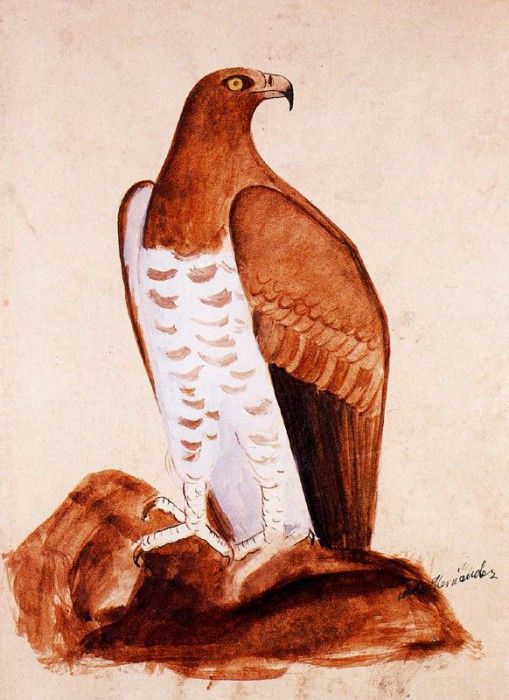 19085. ��������, �����