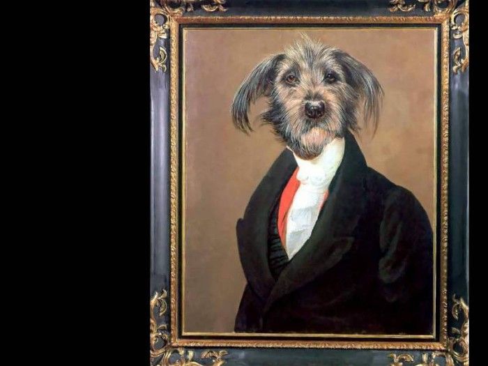 dog portraits csg053 georgi ablomolotovski. , 