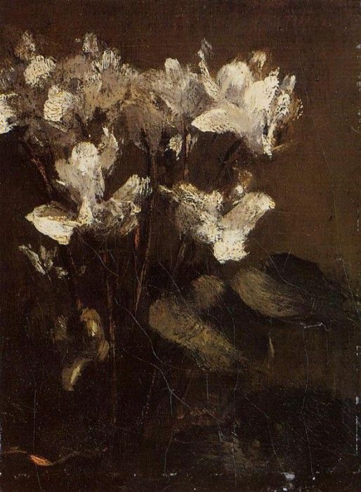 Fantin Latour Fleurs cyclamens. -, ---