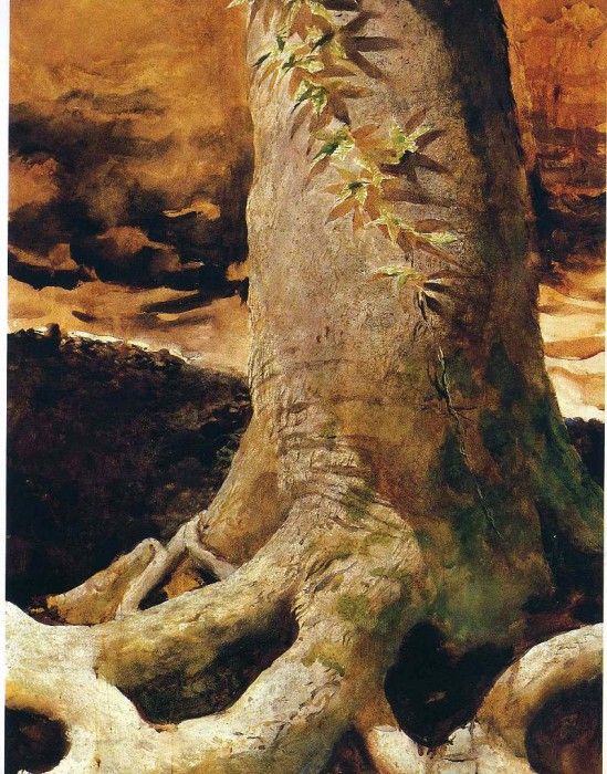 File8982. Wyeth, ������